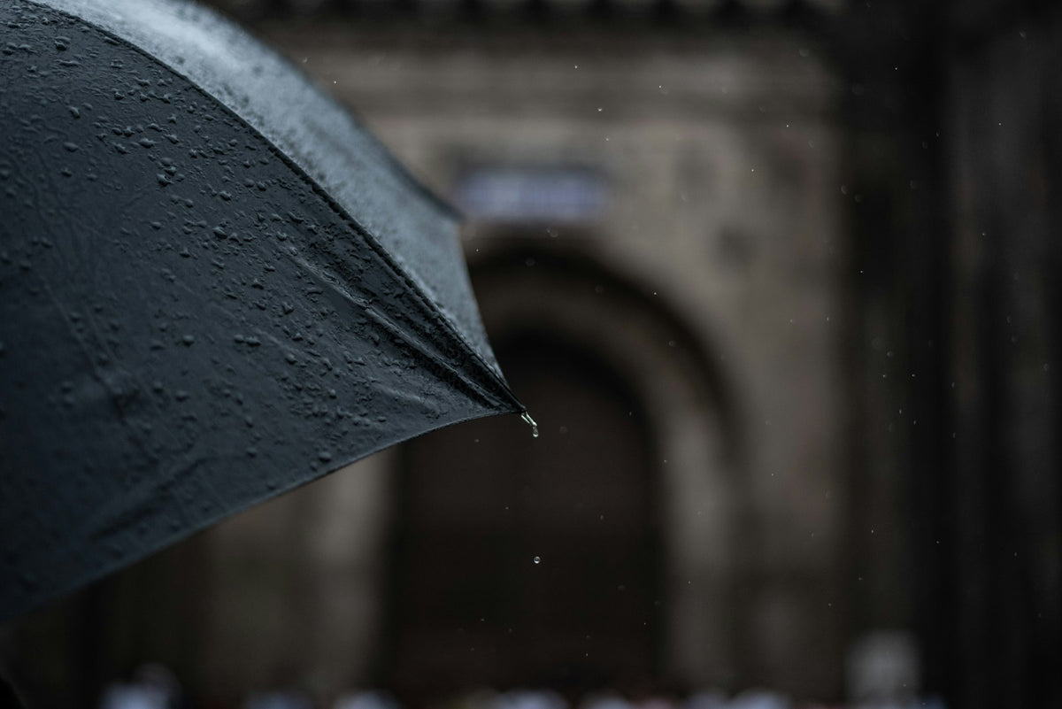 مظلة مطر مدمجة